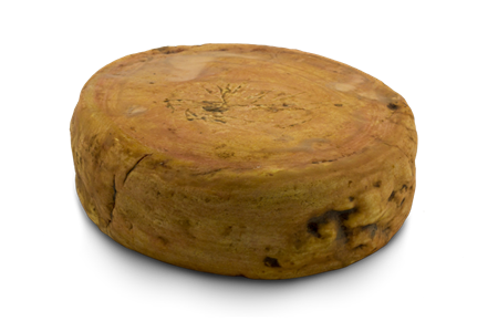 elsa_prodotto_intera